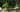 Garten/Outdoor - Lifestyle & More