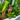Gartenfigur Flamingo aus Metall stehend Höhe 60 cm Breite 23 cm - Lifestyle & More
