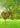 Gartenschild Gartenstecker Herz aus Metall Rostfarben Höhe 66 cm Breite 24 cm - Lifestyle & More