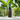 Moderne Deko Vase Blumenvase aus Keramik türkis grün braun 15x35 cm - Lifestyle & More