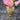 Moderne Dekovase Blumenvase Tischvase Vase aus Keramik gold glänzend 15x20 cm - Lifestyle & More