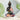 Skulptur Dekofigur Buddha Colorful Art aus Kunststein schwarz/bunt Höhe 26cm Breite 16cm - Lifestyle & More
