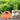 Spardose Sparschwein mit Hammer aus Keramik orangefarben 15x10 cm - Lifestyle & More