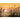 Vlies Fototapete Pflanzen Tapete Sonnenaufgang Sonne Feld Romantisch grün - Lifestyle & More