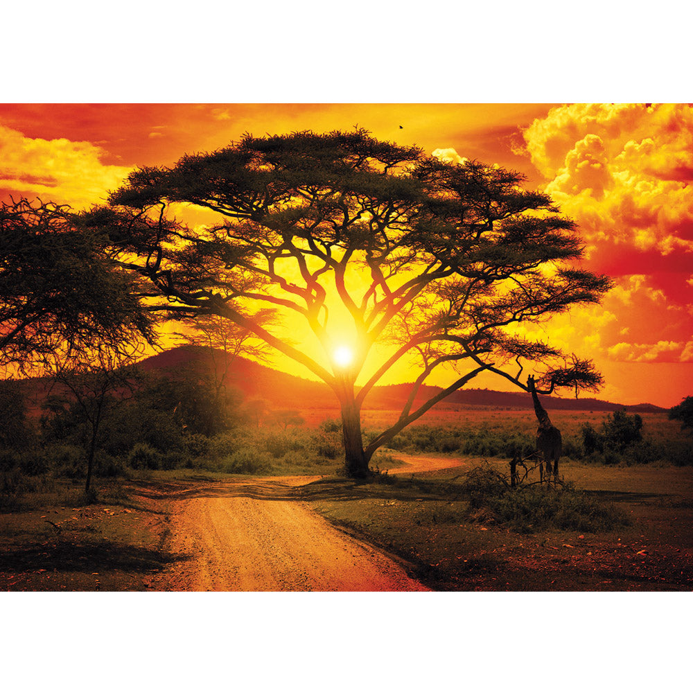 Papier peint photo intissé Afrique papier peint coucher de soleil arbre chemin girafe savane ciel plante Afrique jaune