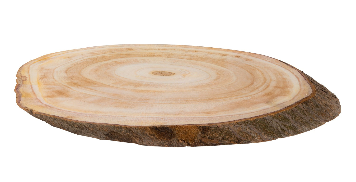 Set of 4 large natural wood tree slices 26 x 16 cm tree trunk slices wooden slices blanks with bark 