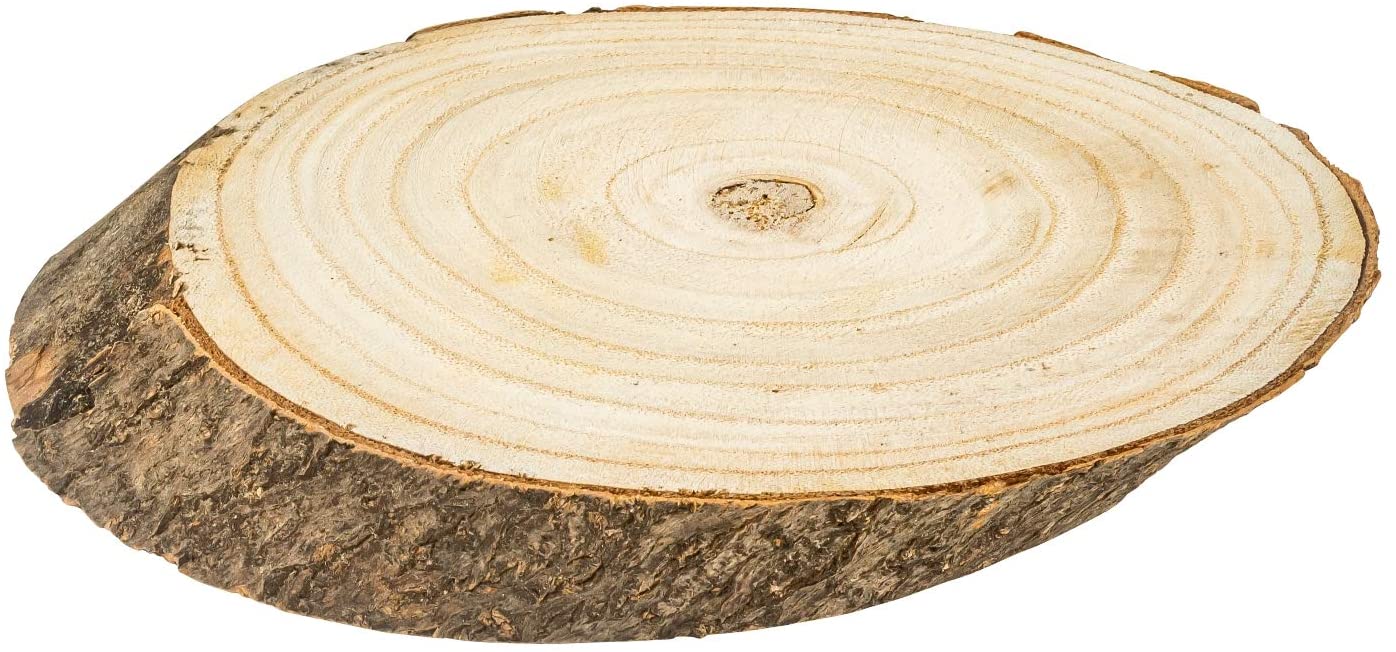 Lot de 4 grandes tranches d'arbre en bois naturel 22x12 cm tranches de tronc d'arbre disques en bois vierges avec écorce