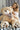 Giant teddy bear cuddly bear 130 cm XXL plush bear cuddly toy velvety soft (130 cm)