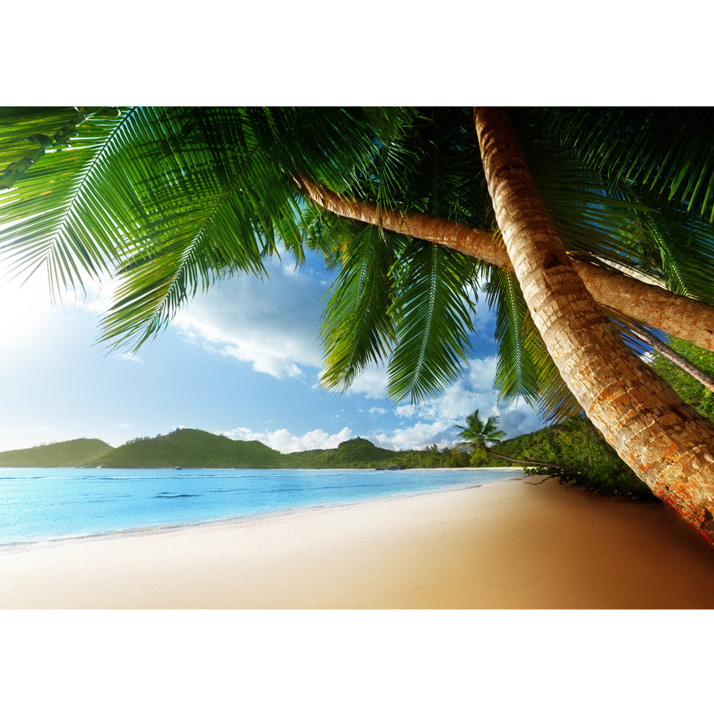 Nonwoven photo wallpaper Lonely Beach beach wallpaper beach sea palm trees 3D ocean palm blue