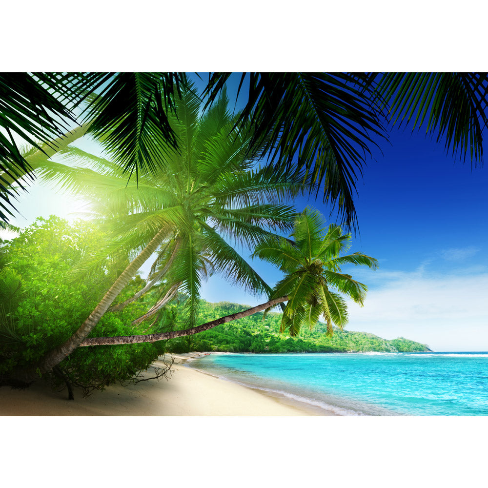 Vlies Fototapete Paradise Beach Strand Tapete Strand Meer Palmen Beach 3D Ozean Palme blau