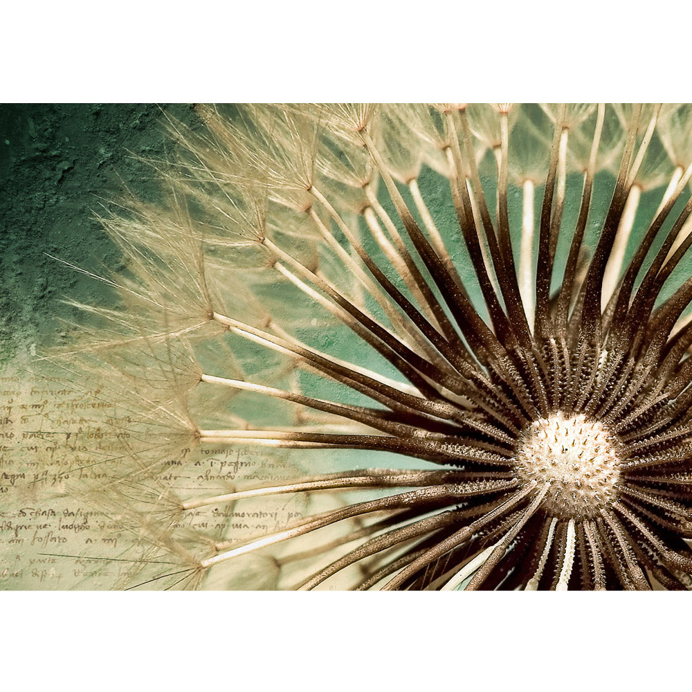 Nonwoven photo wallpaper Romantic Dandelion flowers wallpaper flowers dandelion poem nature dandelion macro