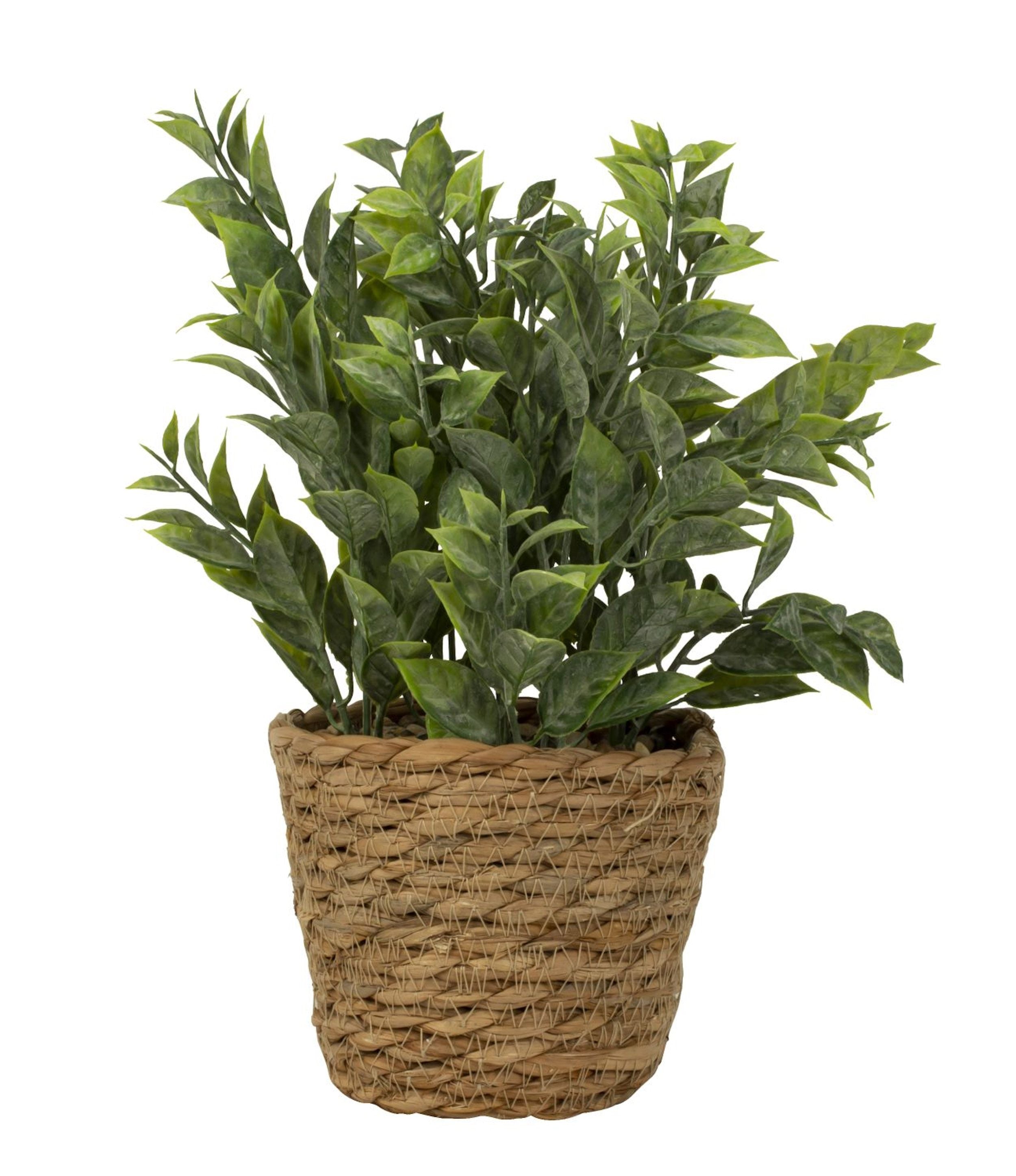 Plante verte artificielle disposée de façon moderne dans un pot en jonc de mer hauteur 28 cm ⌀ 12cm