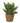 Artificial green plant modernly arranged in seagrass planter height 28 cm ⌀ 12cm