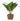 Artificial green plant modernly arranged in seagrass planter height 30 cm ⌀ 11 cm