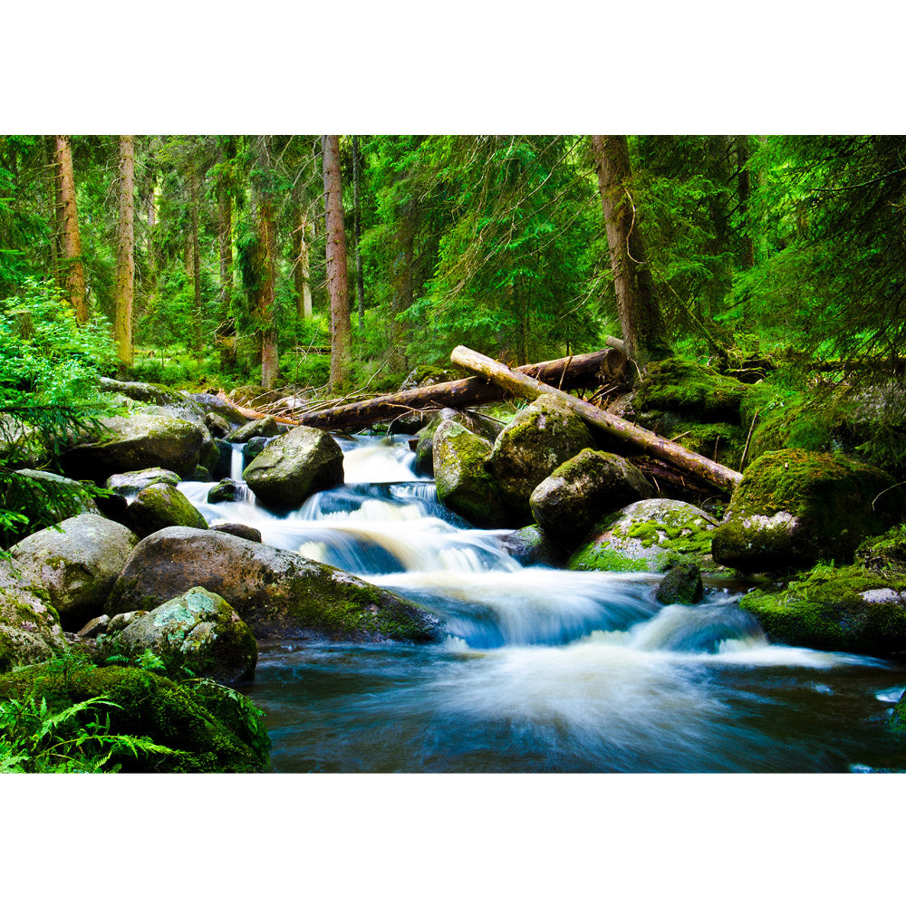 Vlies Fototapete Waterfall WoodsWald Tapete Wald Wasserfall Natur Baum grün grün