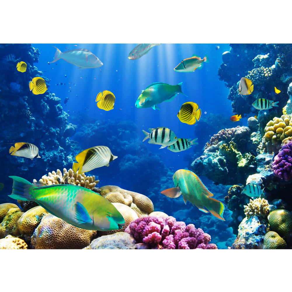 Nonwoven photo wallpaper Underwater World animals wallpaper Aquarium underwater