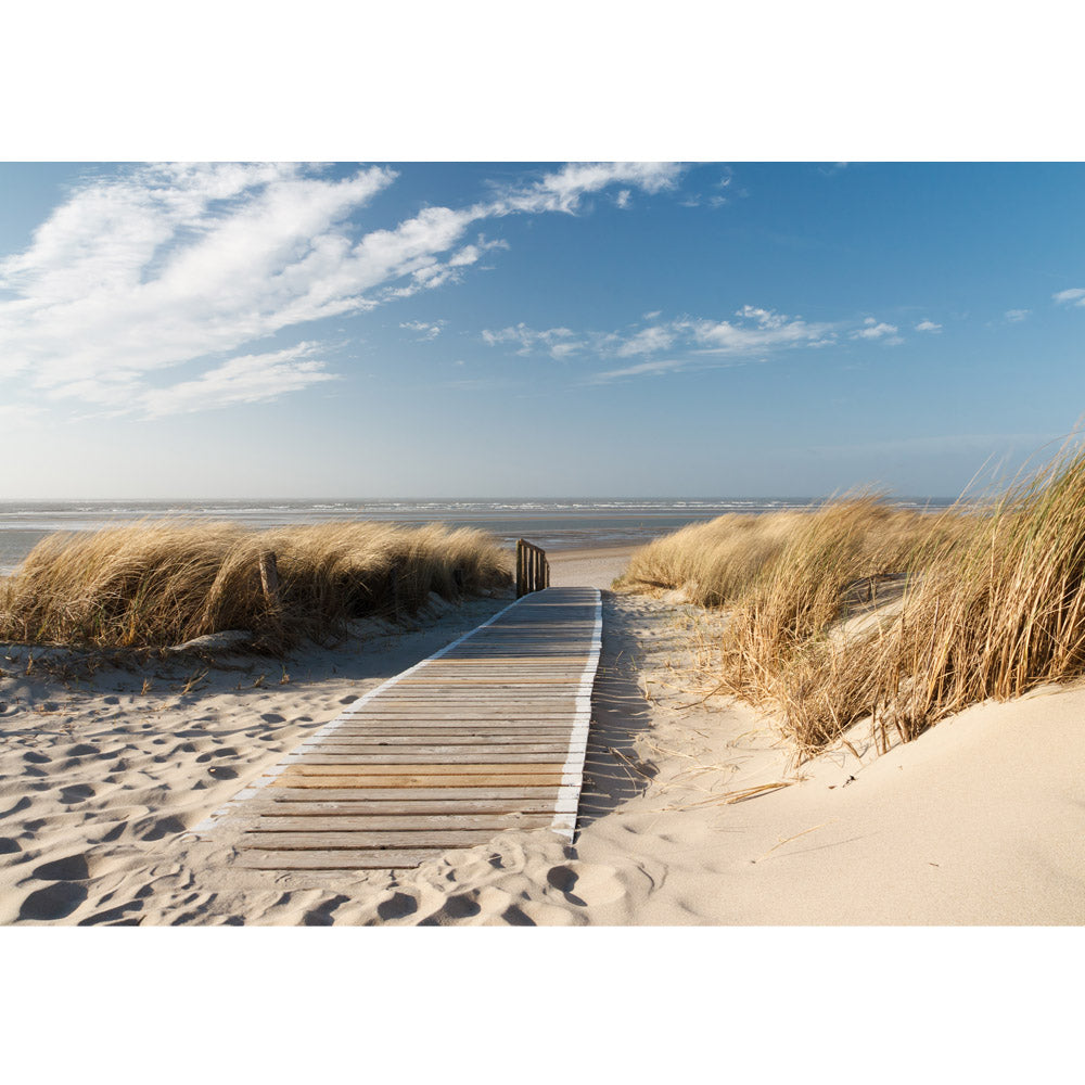 Nonwoven photo wallpaper North Sea Dunes beach wallpaper beach sea North Sea Baltic Sea beach water blue