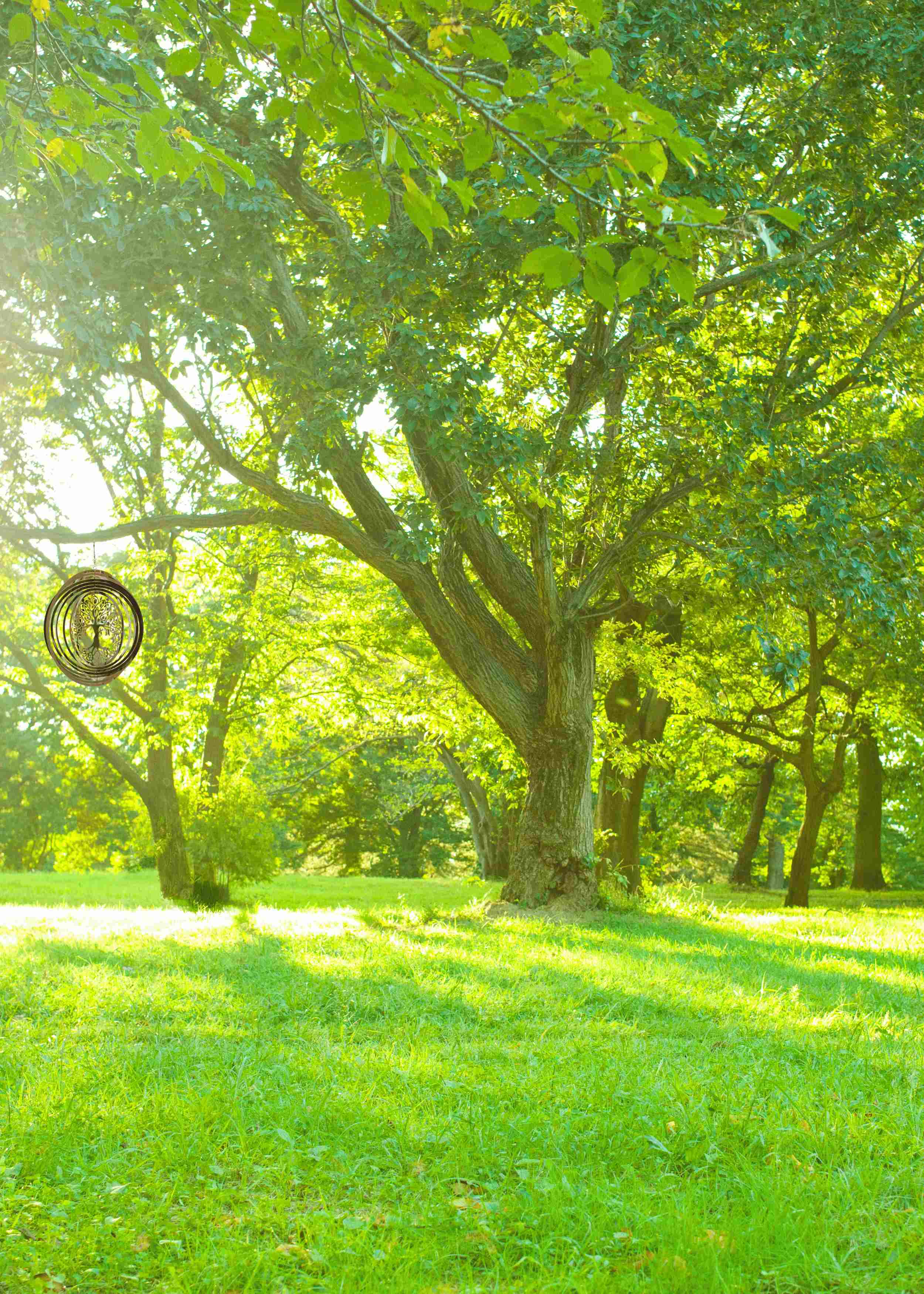 Carillon à vent 3D en acier inoxydable avec motif arbre de vie à suspendre, diamètre 25 cm