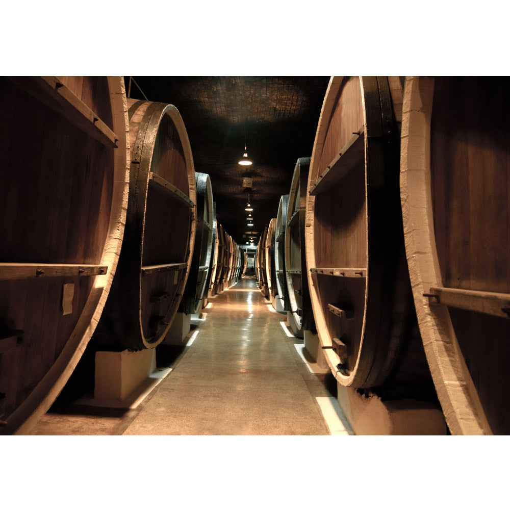 Nonwoven photo wallpaper Old Wine BarrelsArt wallpaper wine cellar wine barrels barrel barrels cellar Stollen brown