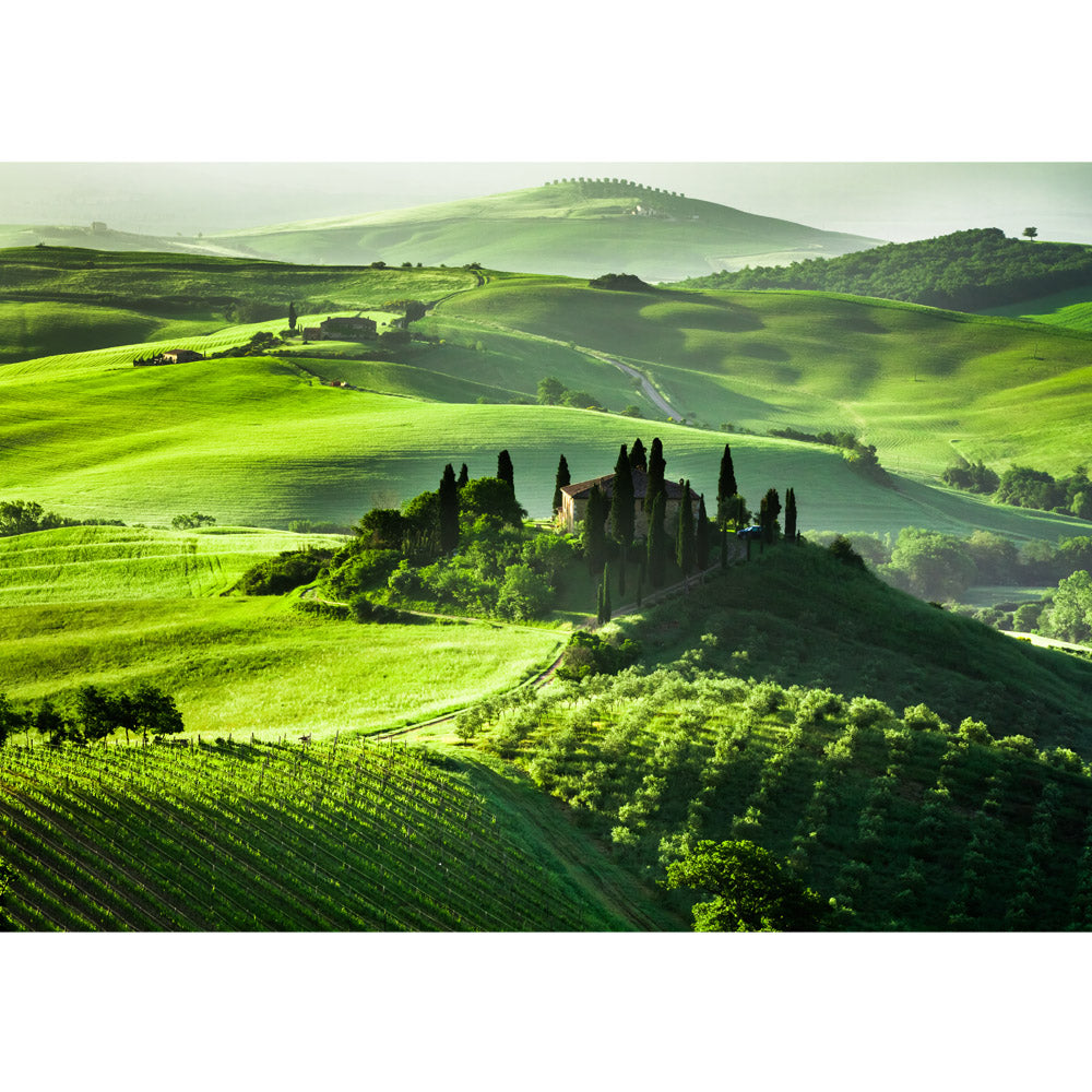 Nonwoven photo wallpaper Sunrise in Tuscany landscape wallpaper sunrise Italy Tuscany vineyard winery