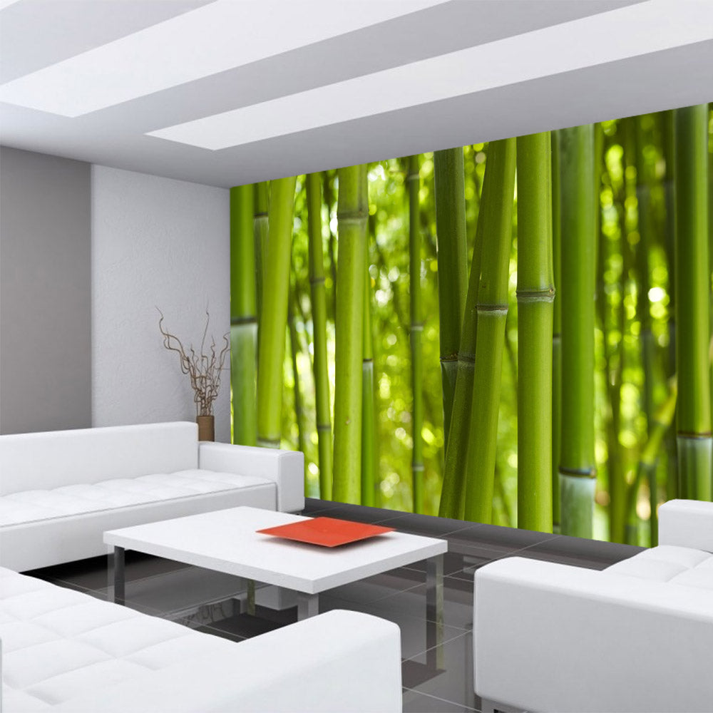 Vlies Fototapete Dream of Bamboo Bambus Tapete Wald Wood Forest Jungle Dschungel Garten Natur Baum