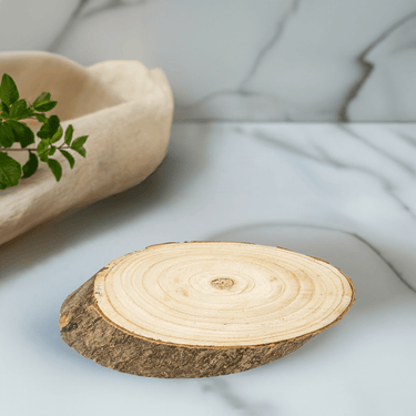 4er Set Große Naturholz Baumscheiben 22x12 cm Baumstamm Scheiben Holzscheiben Rohlinge mit Rinde - Lifestyle & More