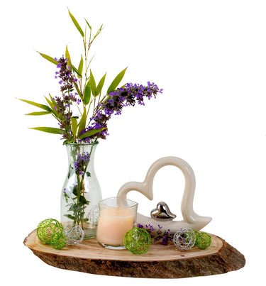 4er Set Große Naturholz Baumscheiben 26x16 cm Baumstamm Scheiben Holzscheiben Rohlinge mit Rinde - Lifestyle & More