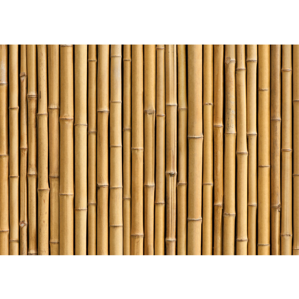 Nonwoven photo wallpaper Golden Bamboo bamboo wallpaper gold yellow forest bamboo forest jungle garden nature trees