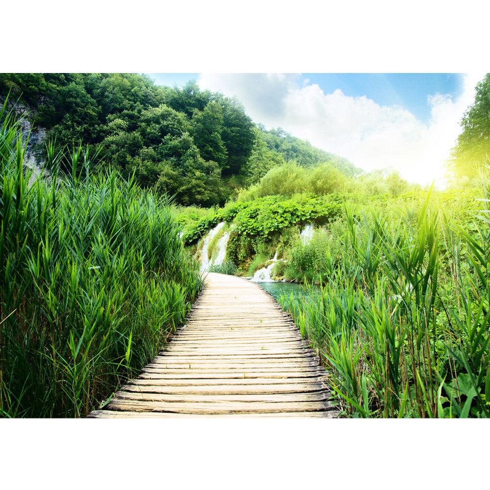 Papier peint photo intissé Chemin en bois dans la forêt profondePapier peint nature chemin en bois champ vert nature paysage herbe vert