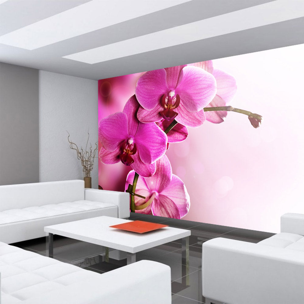 Vlies Fototapete Pink Orchid Ornamente Tapete Orchidee Blumen Blumenranke Rosa Pink Natur Pflanzen