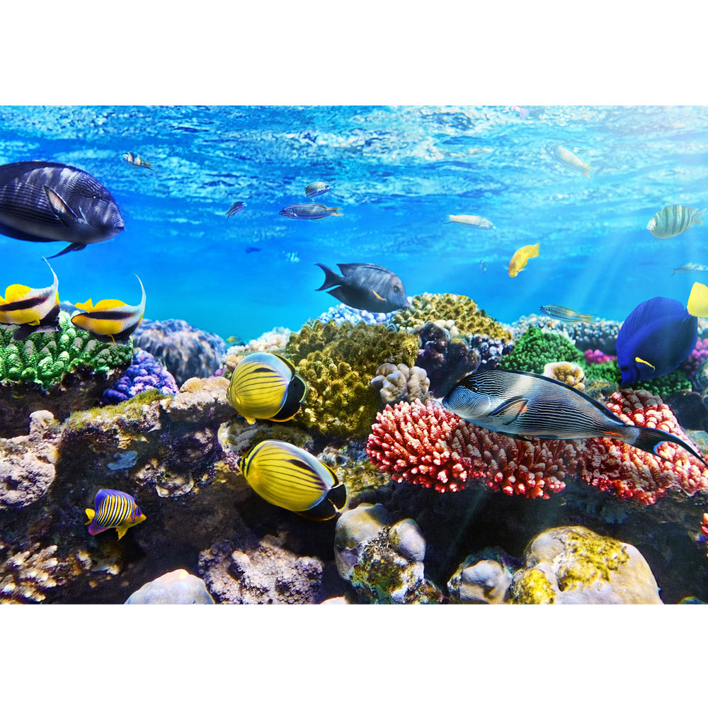 Nonwoven photo wallpaper Underwater ReefAnimals wallpaper Aquarium Underwater Sea World Sea Fish Reef