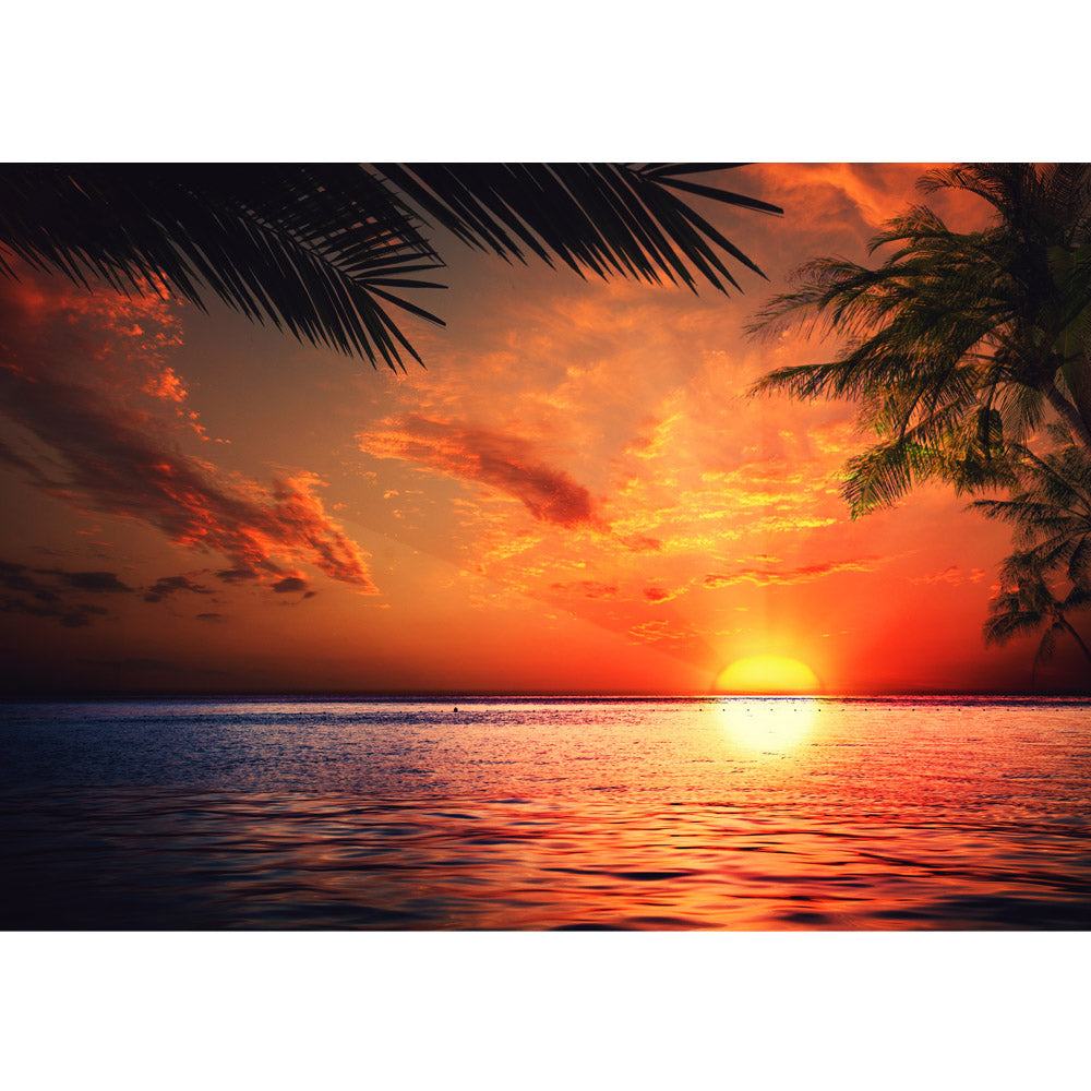 Nonwoven photo wallpaper Caribbean Sundown Sea Wallpaper Sunrise Beach Sunset Palm Trees