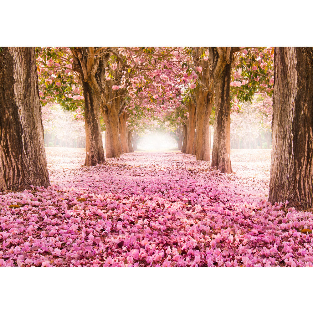 Vlies Fototapete Wald Tapete Herbstblätter Wald Bäume Baum Forest Herbst rosa