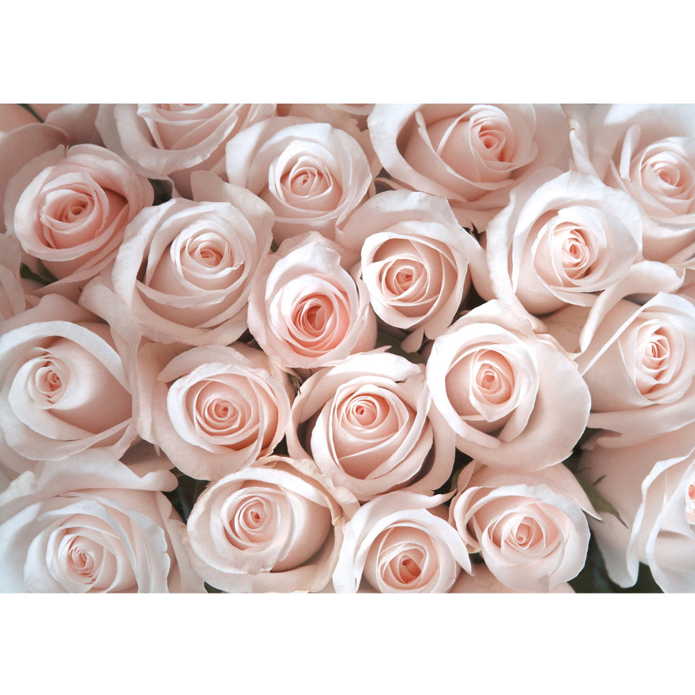 Nonwoven photo wallpaper flowers wallpaper flowers rose pink