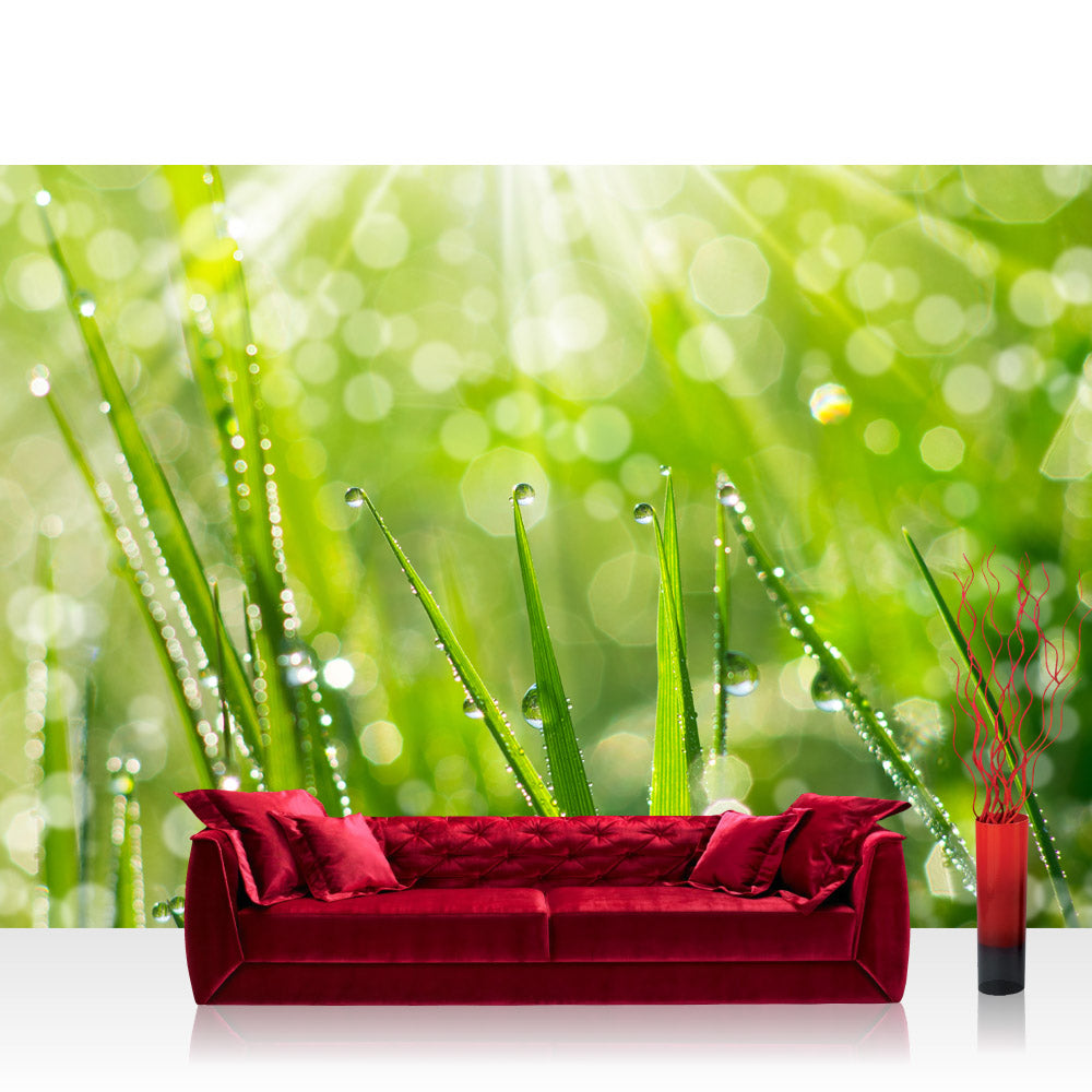 Nonwoven photo wallpaper plants wallpaper grass stalk green meadow sun nature grey