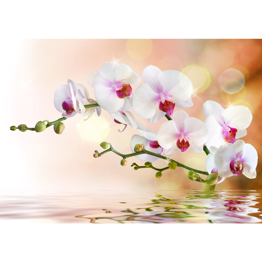 Nonwoven photo wallpaper mountains wallpaper orchid flowers flower tendril