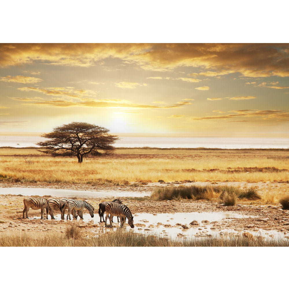 Papier peint photo intissé animaux papier peint animaux du désert zèbres lever du soleil nature beige