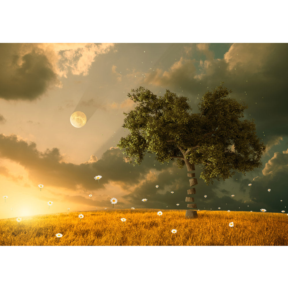 Papier peint photo intissé nature papier peint nature champ soleil lune arbre marron