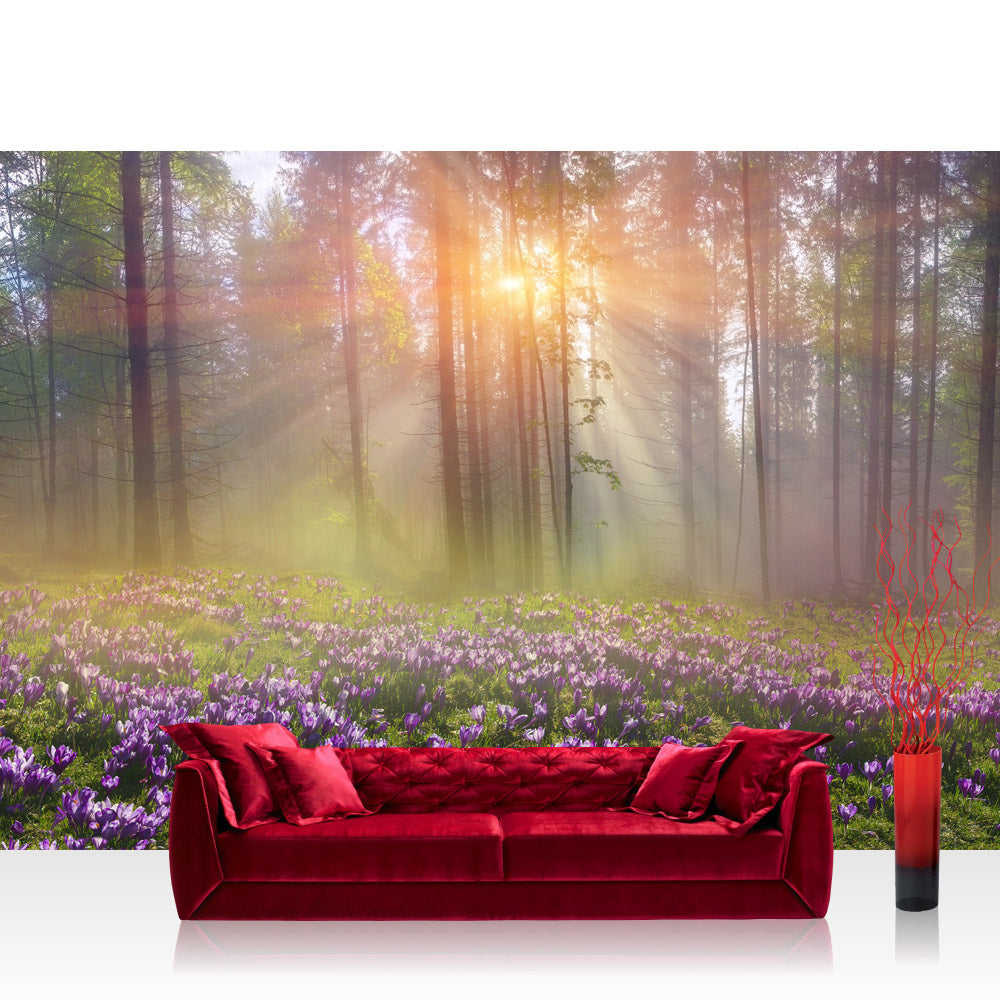 Nonwoven photo wallpaper forest wallpaper forest trees nature tree