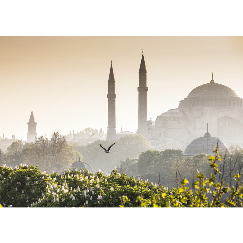 Nonwoven photo wallpaper Türkiye wallpaper Istanbul Türkiye mosque nature fog brown