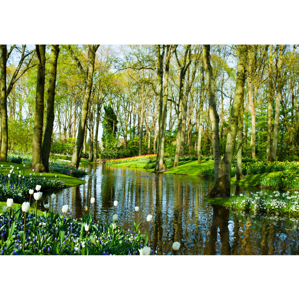 Vlies Fototapete Wald Bäume Natur Frühling Wasser Sonne braun