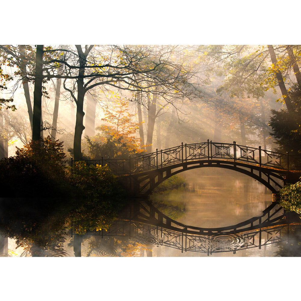 Vlies Fototapete Wald Tapete Wald Wasser Bäume Herbst Natur Sonne weiß