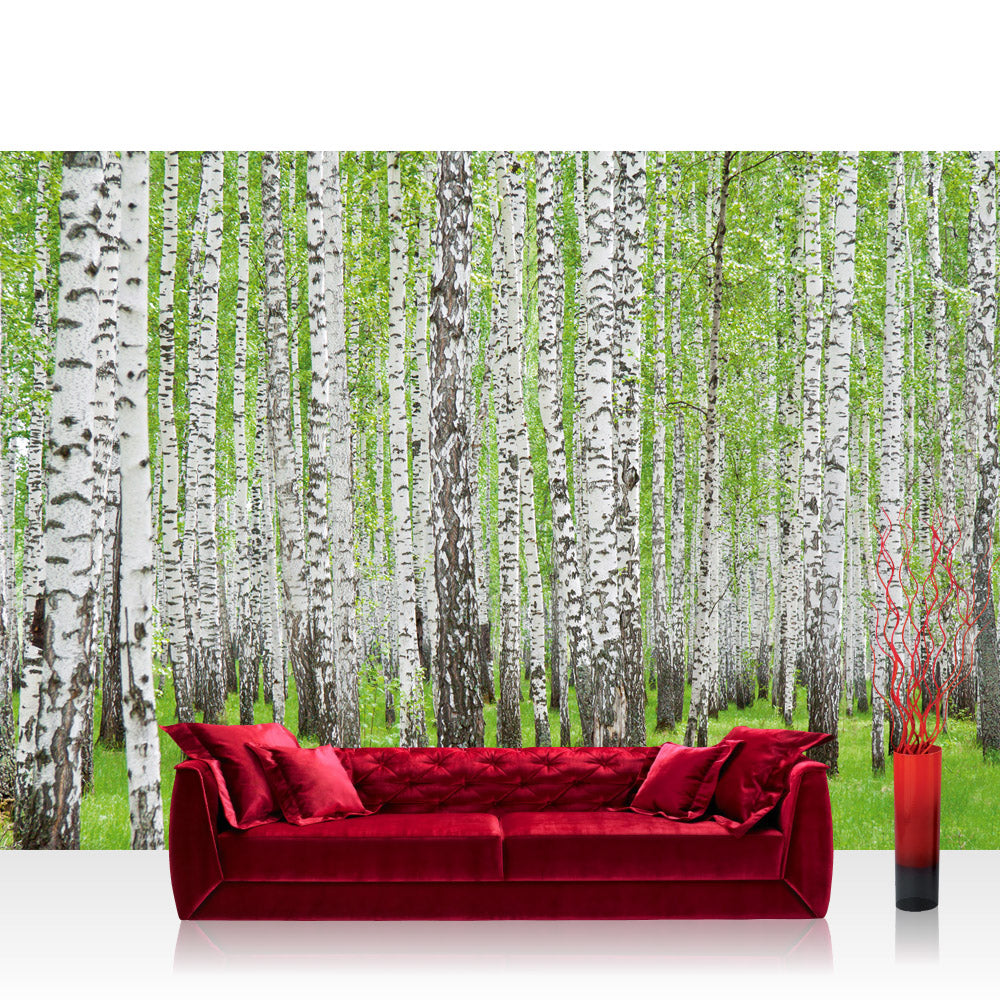 Nonwoven photo wallpaper forest wallpaper birch forest trees nature green white white