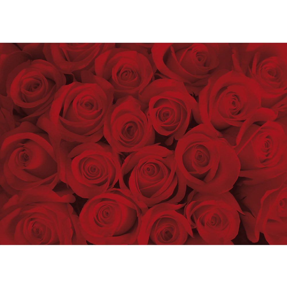 Nonwoven photo wallpaper flowers wallpaper roses blossoms flowers red