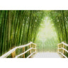 Bamboo Walk Wald Tapete Bambusweg Bambuswald Dschungel Asia Asien Bamboo Way Wald grün - Lifestyle & More