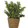 Künstliche Grünpflanze modern arrangiert im Seegrasübertopf Höhe 28 cm ⌀ 12cm - Lifestyle & More