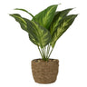 Künstliche Grünpflanze modern arrangiert im Seegrasübertopf Höhe 30 cm ⌀ 11 cm - Lifestyle & More