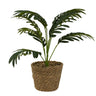 Künstliche Grünpflanze modern arrangiert im Seegrasübertopf Höhe 42 cm ⌀ 14 cm - Lifestyle & More