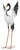 Moderne Gartenfigur Gartenskulptur Storch aus Metall schwarz/weiß Höhe 82 cm Breite 42 cm - Lifestyle & More