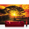 Vlies Fototapete Afrika Tapete Sonnenuntergang Baum Weg Giraffe Savanne Himmel Pflanze Afrika gelb - Lifestyle & More